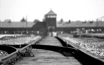 Uncovering the Reasons Behind Teenagers’ Holocaust Denial